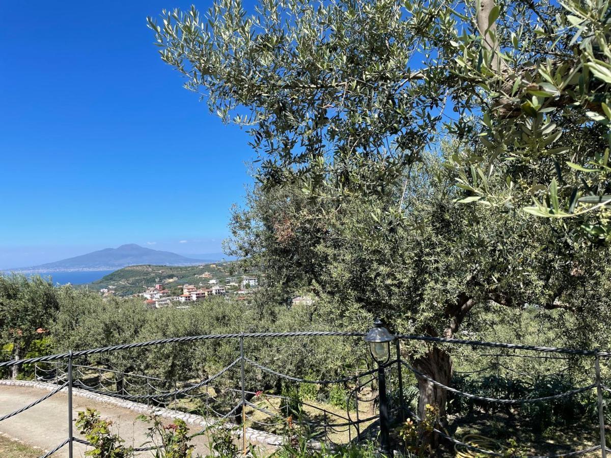 Loren House, Relaxing Location With Seaview Massa Lubrense Exterior photo